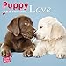 Produktbild Myrna Puppy Love Kalender 2018 + Celebrity Kühlschrank Magnet