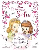 Disney Princesse Sofia : La bibliothèque secrète
