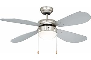 AIRERYDER Deckenventilator mit Beleuchtung Classic, Gehäuse Nickel, Flügelfarbe Silber, 105 cm
