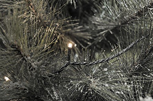 51oULjgpmIL Konstsmide 3648-110 décoration de Noël, Plastique, Warm White, 7493 x 1 x 1 cm