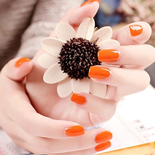 DancingNail 36 Farben Nail Art UV Gel Set Farbgel Gele Glitter Puder Nagel Design Nagel Kunst spitzt - 3