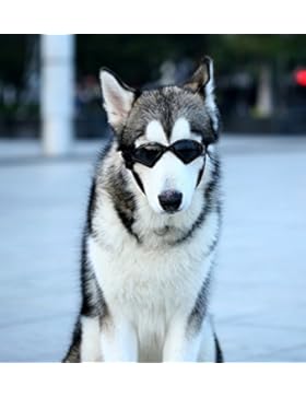 Namsan Hund Brille V-Sonnenbrille UV-Schutz Fashion Eyewear Goggles für Groß Hunde Haustier, Schwarz