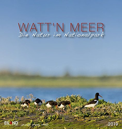 Watt´n Meer - Kalender 2019: Die Natur im Nationalpark