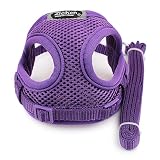 Material: nylon DLFALG Mercancías para Mascotas Paño De Red, Cofre Y Ropa para La Espalda, Cuerda De Tracción para Pequeños, Perro VIP, Cuerda para Perro Que Camina Al Aire Libre, Linda, Violeta, Trompeta 1.0Cm