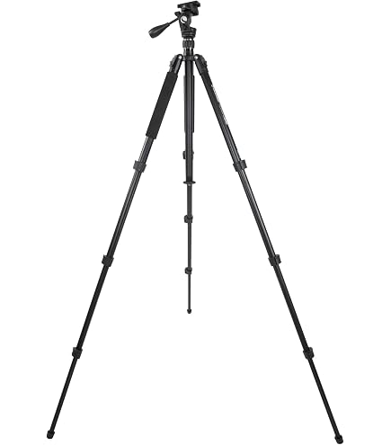Celestron 52308 Cannocchiale Hummingbird ED 9-27x56 Mm – Micro Spotter Da Palmo Per Birdwatching, Nitido E Leggero