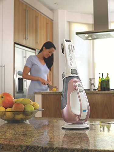 Imagen 21 de Black+Decker DV9610N