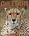 Price comparison product image Cheetahs: Children Book of Fun Facts & Amazing Photos on Animals in Nature - A Wonderful Cheetahs Book for Kids aged 3-7
