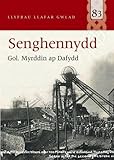 Image de Senghennydd (Llyfrau Llafar Gwlad)