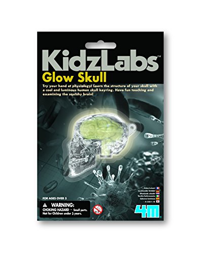 4M Glow Skull