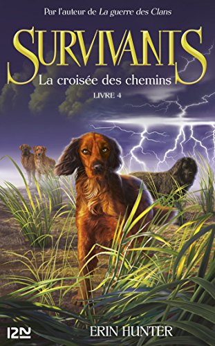 Télécharger Les survivants, tome 4 : La croisée des chemins PDF