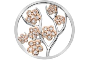 Emozioni Sterling Silver Plate Fiore Rose Gold Plate 25mm Coin EC510