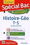 Spécial Bac : Fiches Histoire-Géo Tle S