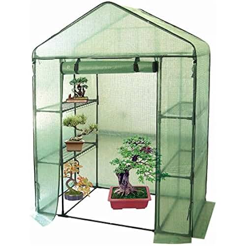 Amazon.co.uk plastic greenhouses
