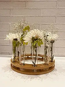 LABZIO Home - Glass Flower vase: Test Tubes Arranged in a Circular Wooden Base.