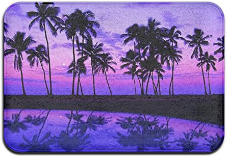 OOOMOLI Art Design Doormats Palm Trees Sunset Wallpaper Funny Door Mat Monogram Doormat Non-slip Doormat Coral Fleece Indoor Outdoor Kitchen Floor Rug Front Door Mat Funny Flannel Carpet 15.7" X 20.3"
