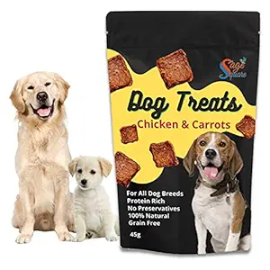 Sage Square Chicken & Carrot Dog Treat, Crunchy Protein Rich Snack, No Preservative, 45g