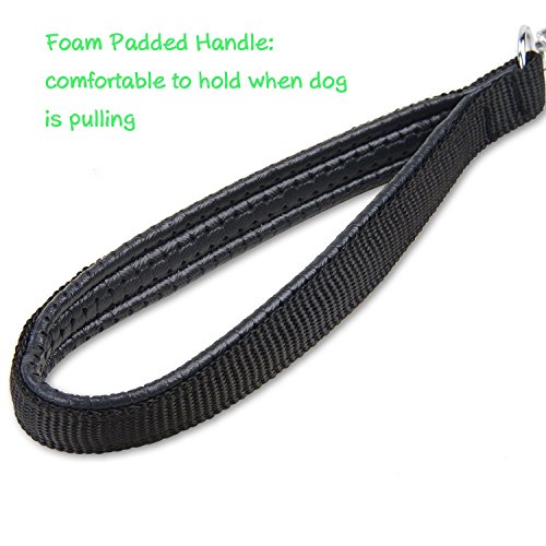 confronta il prezzo Kaka mall Guinzaglio Catena per Cani Taglia Grande Media Piccola Robusto con Morbido Antiscivolo Manico Nylon 120CM (Argento L) miglior prezzo