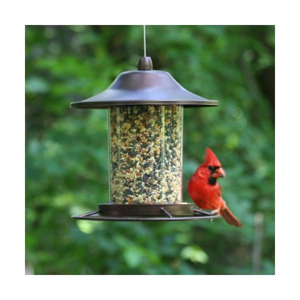 Perky-Pet Mangiatoia Panorama Piccola per Uccelli da 900 g Color Marrone Rustico / 312