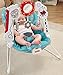 Fisher-Price 2-in-1 Sensory Stages Bouncer
