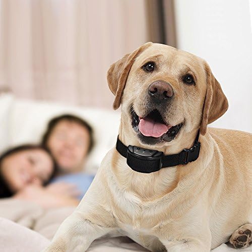 Doglina Humane Automatic Anti barking dog training collar +Free Dog training Whistle and Dog trainer Clicker