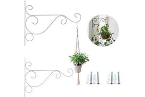 Bestenrose 2 Pack 10" Iron Hanging Plants Bracket Decorative Wall Planter Hanger Hooks with Screws for Bird Feeder Lanterns Wind Chimes (White)