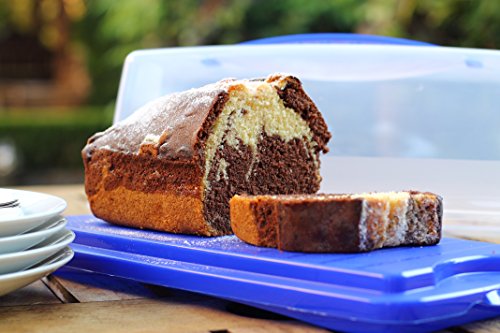 Rotho 1722506650 Kuchenbehälter Kuchenbutler rechteckig Fresh aus Kunststoff (PP), mit sicherem Verschluss und bequemem Tragegriff, ca. 36 x 16,5 x 16,5 cm, blau/transparent - 2