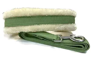 LEACO Premium Nylon Fur Padded Dog Collar ( Mint Green , Small - Medium) with 2.5Mtr Leash