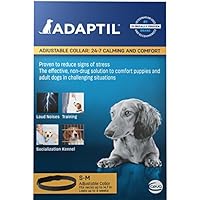 Beruhigendes und verstellbares Halsband it Pheromonen für das Training von kleinen Hunden oder Welpen, von Adaptil, max. Halsumfang ca. 37 cm.