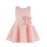 Internet Cute Toddler Kids Girls Lace Hollow Floral Dress for 0-2 Years Old