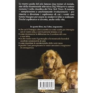 Il capobranco sei tu