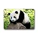 Produktbild Jiayou J Custom Decorative Bamboo Panda Bear Doormat for Drying Wet Feet, Grabing Dirt and Dust