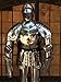 Produktbild NAUTICALMART Full Suit of Armor with Breast Plate, Back Plate Leg Guard and Shoulder Guard by