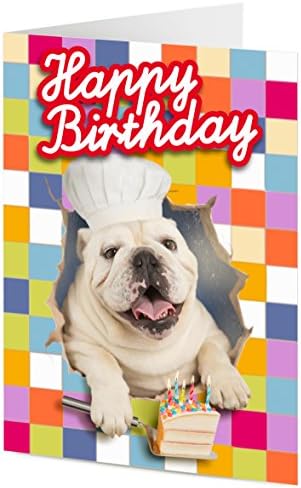 Funny English Bulldog chef busts through coloured tiled kitchen wall with Birthday cake - Birthday card