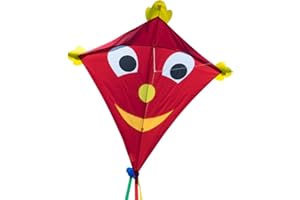 CIM Large Kids Kite - SUPER Kite - Single line kite for children from the age of 6 years up - including kite line and striped tails