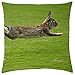 Produktbild rabbit flees - Throw Pillow Cover Case (16