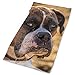 Produktbild FGRYGF Funny Pug Dog Headband Unisex Headwrap Magic Head Scarf Bandana Headwear Neck Scarf Sun Guard Do Rag Cap Cool Headdress Foulard Face Mask Neck Gaiter