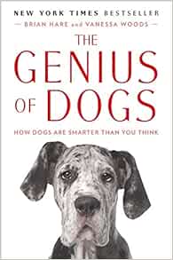 Amazonfr The Genius Of Dogs How Dogs Are Smarter Than