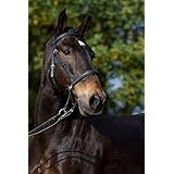 Gebisslose Zäumung Walnut Gr. FULL schwarz
