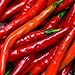Produktbild Cayenne Red Long Pepper - 100 Seeds -GARDEN FRESH PACK! by HOME-OUTDOOR