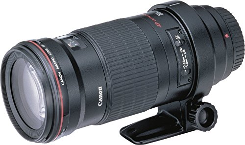 Canon EF 180mm f3.5L Macro USM AutoFocus Telephoto Lens for Canon SLR Cameras