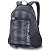 Produktbild DAKINE Rucksack Wonder Pack, Black / Hombre, 46x30x15cm, 8130-060