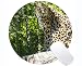 Produktbild Rutschfeste Gummi Gaming Runde Mausunterlage, Leopard Wild Leopard Rutschfeste Gummi Base Mousepad