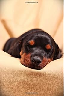 average cost of doberman puppies