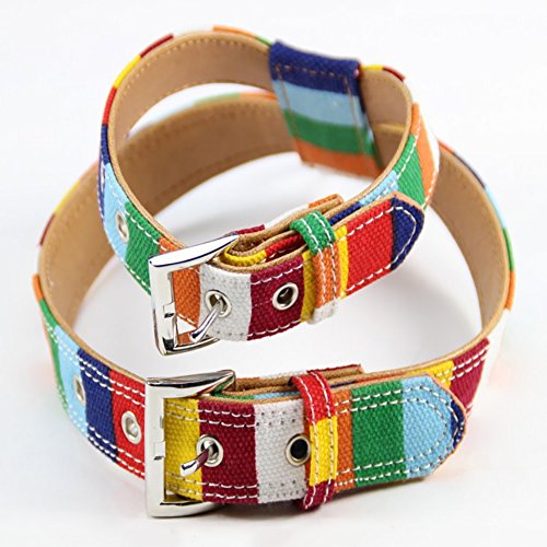 XIAOLANGTIAN-1-Pc-Lumineux-Couleur-Pet-Walk-Gilet-Chien-Chat-Scurit-Chiot-Poitrine-Strap-Harnais-Collier-Laisse