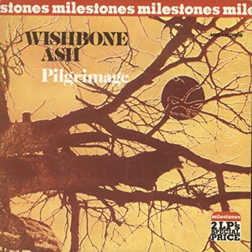 Preisvergleich Produktbild Milestones - Pilgrimage / Argus - EX