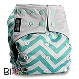 LittleBloom, Reusable Pocket Real Cloth Nappy Washable Diaper BAMBOO CHARCOAL, Pattern 10, With 1 Charcoal Insert, (see "Special Offers and Product Promotions" for Special Offers Detail)