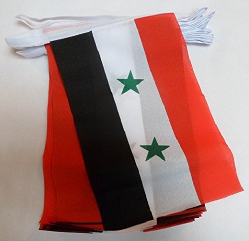 AZ FLAG - Syria Bunting Flag - 20 Ft Garland with 20 Small Syrian Flags 8'' x 6'' - 100% Polyester String Pennant - 6 meters