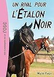 L'Étalon Noir 14 - un rival pour l'Etalon Noir