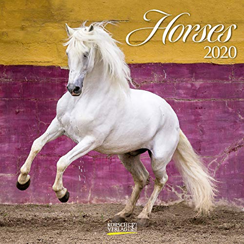 Horses 2020: Broschürenkalender mit Ferienterminen. Pferde und Ponys. 30 x 30 cm