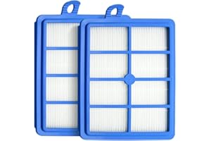 Benfosh Lot de 2 Filtre Hepa Remplacement pour aspirateur Electrolux H12 EL4100 EL6986A EL4050 ZE346B ZUA3840P ZTI7635